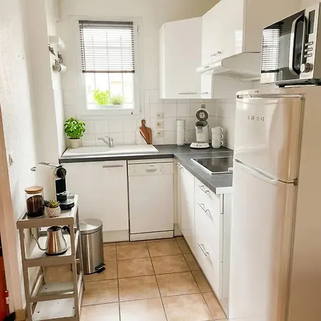 à La Salvetat-sur-aout 50 M² Avec Jardin Appartamento *