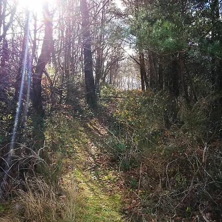 Appartamento à La Salvetat-sur-aout 50 M² Avec Jardin *