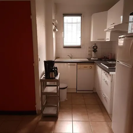 Appartamento à La Salvetat-sur-aout 50 M² Avec Jardin La Salvetat-sur-Agout