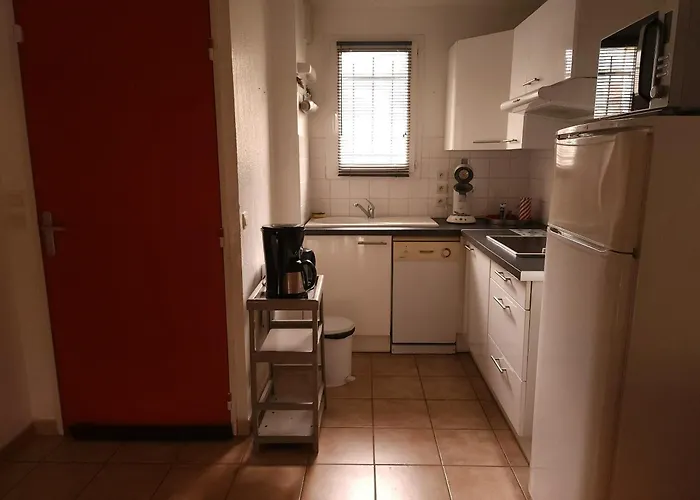 Διαμέρισμα A La Salvetat-sur-aout 50 M² Avec Jardin *